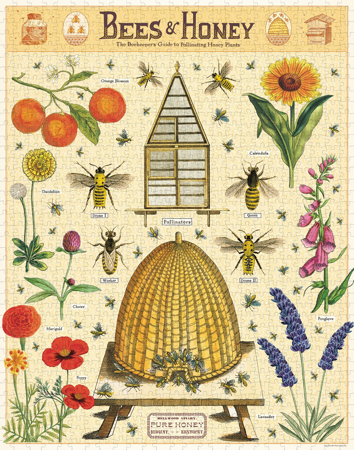 Cavallini & Co - Bees & Honey 1000 Piece Jigsaw Puzzle - Image 2