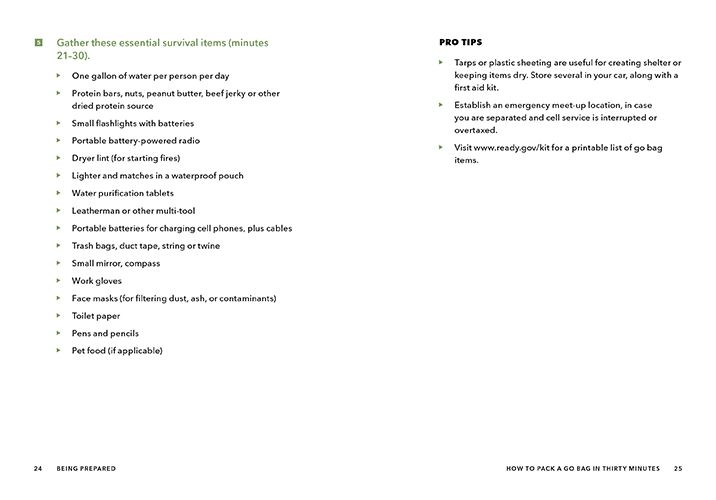 The Worst-Case Scenario Survival Handbook: Apocalypse - Image 8