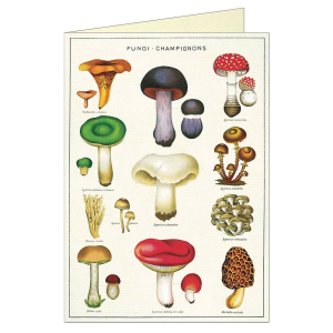 Mushrooms Greeting Card