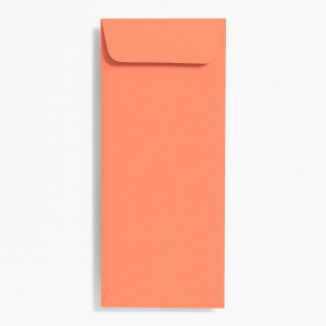 #10 Open End Papaya Envelopes