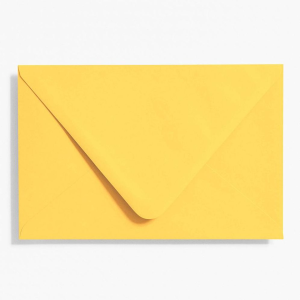 Curry A9 Envelopes