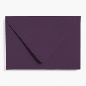 Aubergine 4 Bar Envelopes