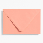 A9 Coral Envelopes