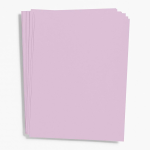 Plum Paper 8.5 x 11 Bulk Pack