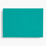 A6 Peacock Note Cards