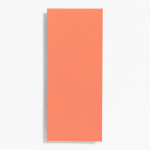 #10 Papaya Note Cards