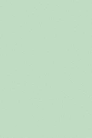 Mint Tissue Paper