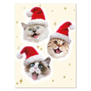 Merry Catmas Holiday Card