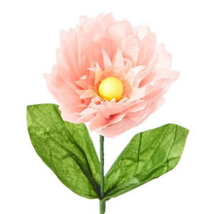 Blush Dahlia Paper Flower