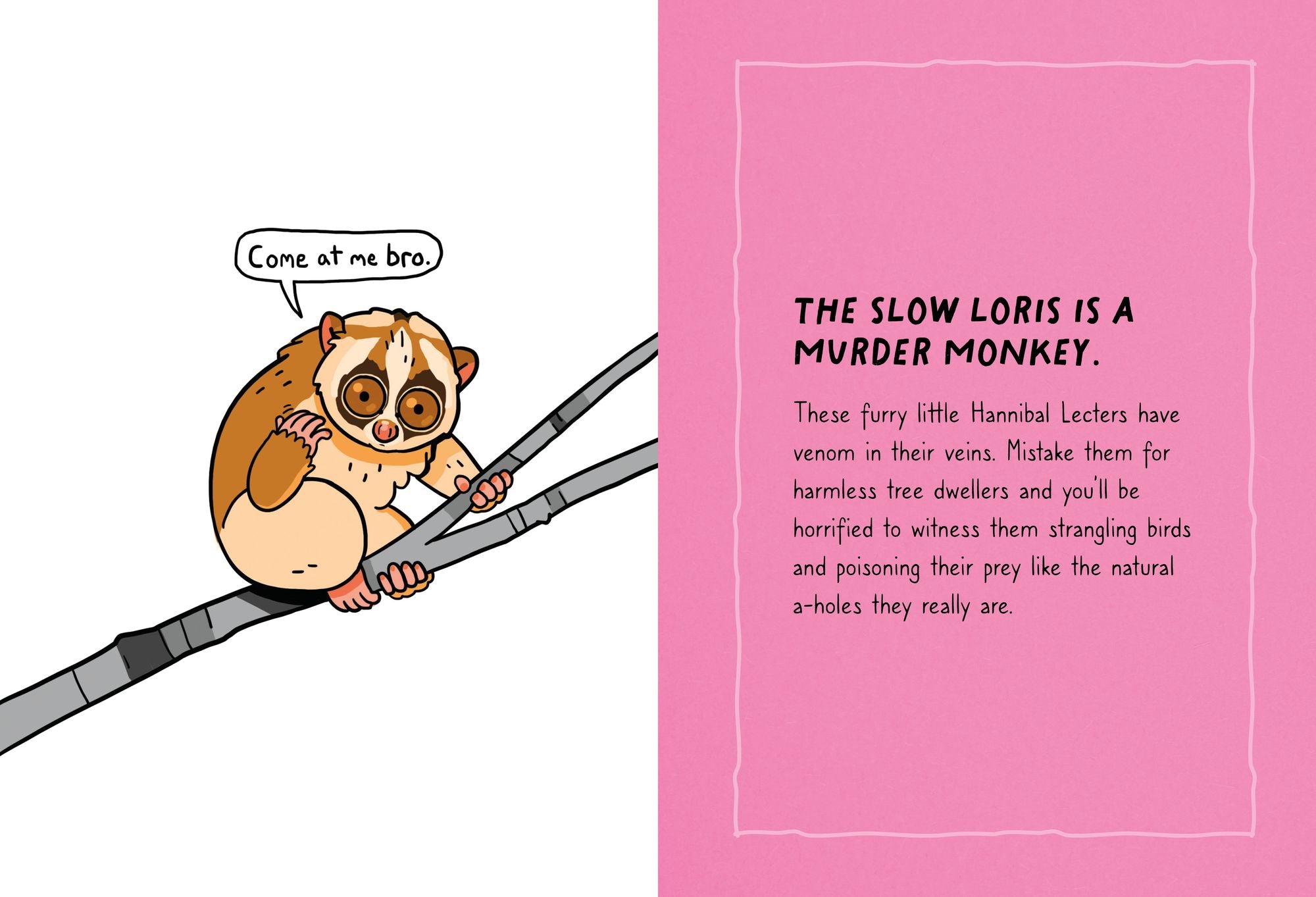 Animals Are A-holes: Meet the Biggest Jerks of the Animal Kingdom - Image 4