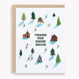 Cabin Skiiers Thank You Card Set