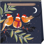Robins Medium Gift Bag