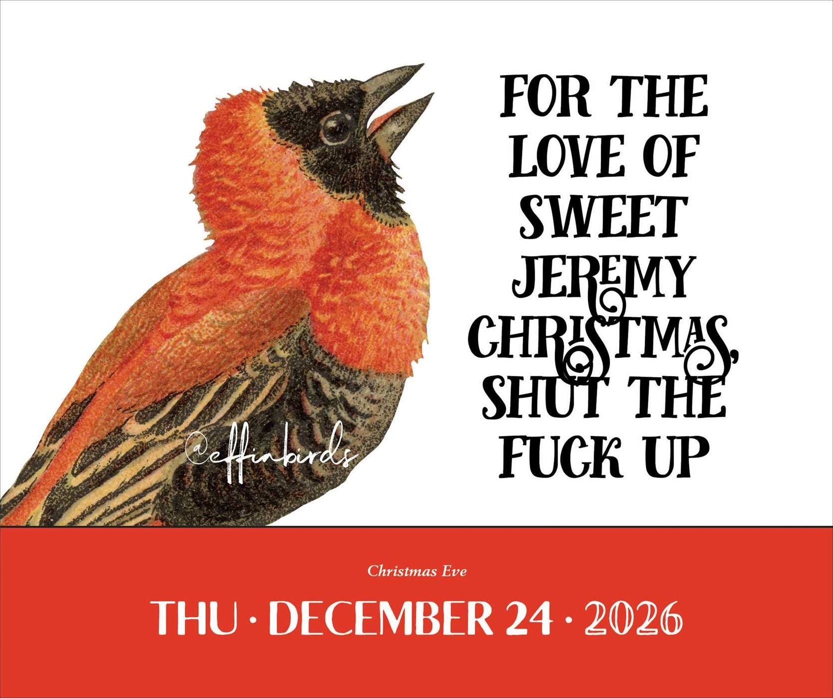 2026 Effin' Birds Day-to-Day Calendar - Image 3