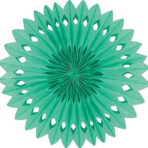 Detailed fan. 30cm. Mint