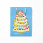 Make a Wish Large Gift Bag