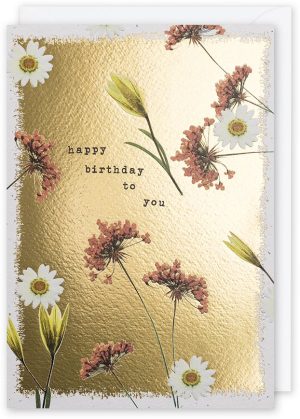 Pressed Daisies Birthday Card