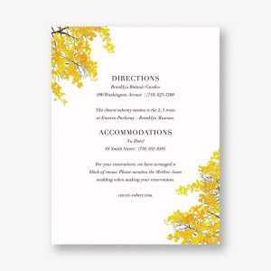 Buckhannon Information Card