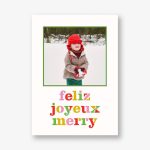 Feliz Merry Joyeux Photo Card