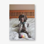 Full-Page Square Double-Sided Photo Card