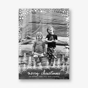 Pollenpine Snow Vertical Christmas Photo Card