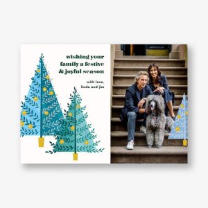 Tannenbaum Twins Photo Card