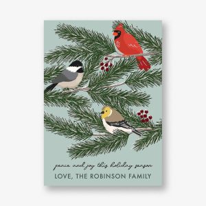 Winter Birds Holiday Card