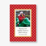 Perfect Spots Holiday Photo Card