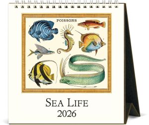 2026 Cavallini Sea Life Desk Calendar