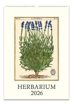2026 Cavallini Herbarium Wall Calendar