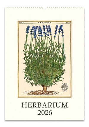 2026 Cavallini Herbarium Wall Calendar