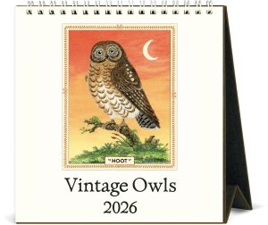2026 Cavallini Owls Desk Calendar
