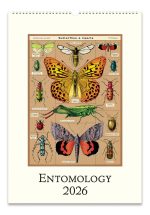 2026 Entomology Wall Calendar
