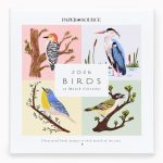 2026 Paper Source Birds Calendar